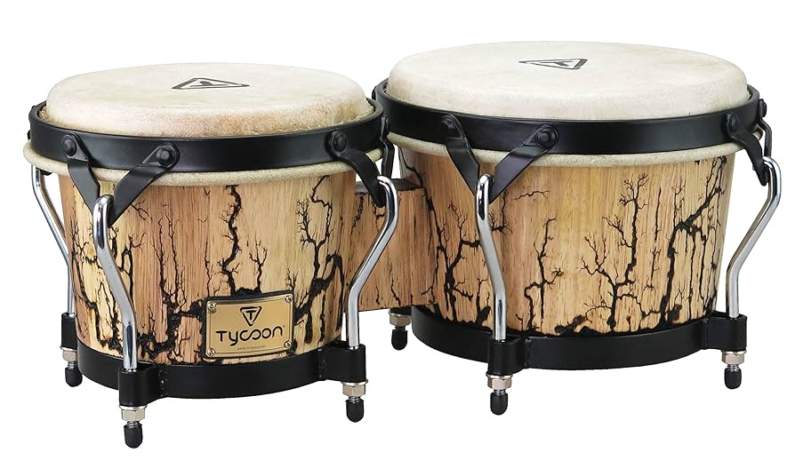 Amazon.com: Tycoon Percussion Bongo Drum (STBS-B WI